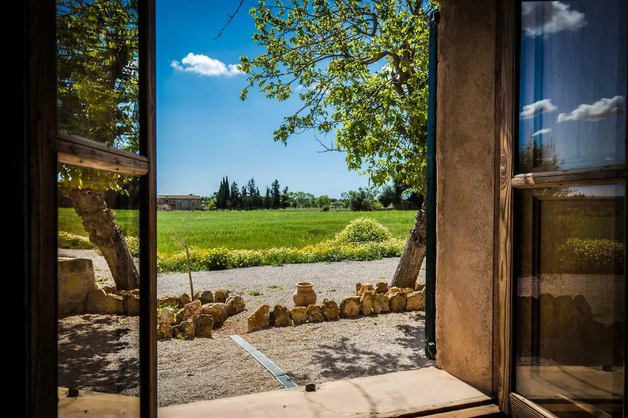 Finca Agroturismo Sa Cova Den Borino Campos