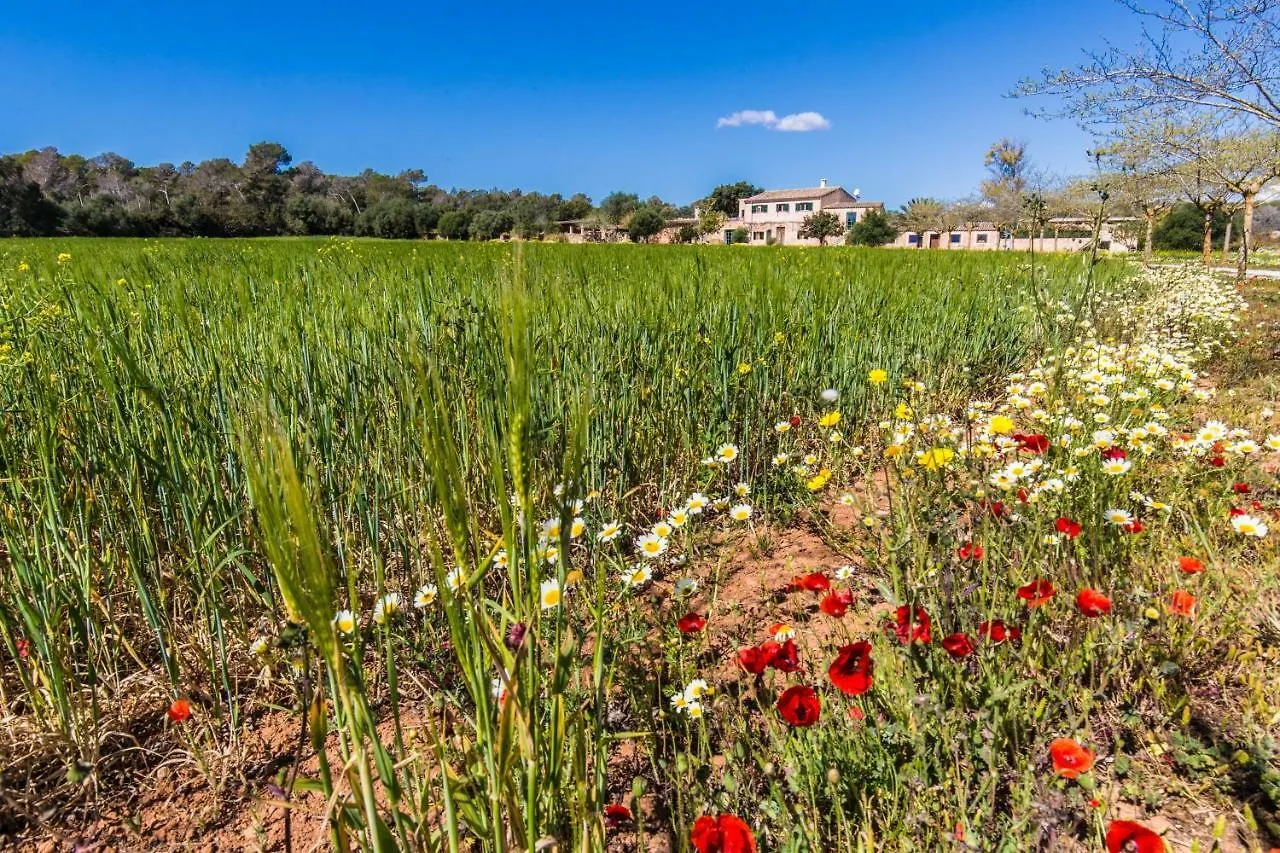 Farm stay Finca Agroturismo Sa Cova Den Borino Campos