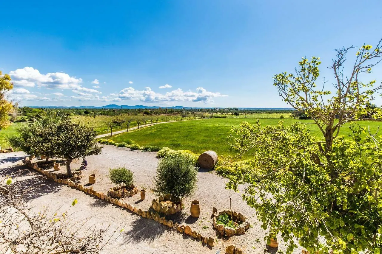 Farm stay Finca Agroturismo Sa Cova Den Borino Campos