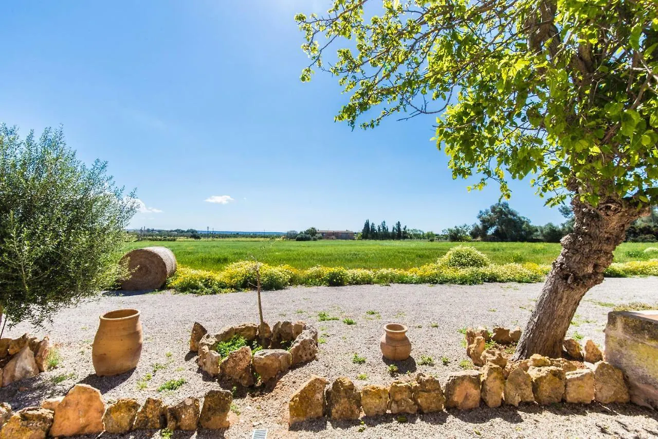 Finca Agroturismo Sa Cova Den Borino Campos  Spain